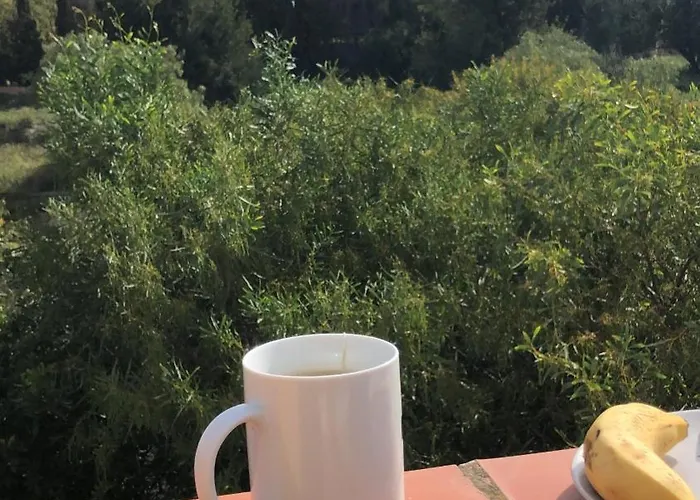 Casa En La Huerta De Mutxamel